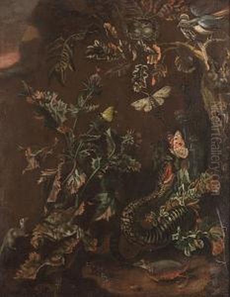 A Snake And Butterflies Amongst Thistles On A Forest Floor Oil Painting by Alida Withoos