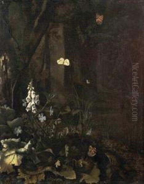 Papillons, Grenouille Et Serpents Dans Un Sous Bois Oil Painting by Mathias Withoos