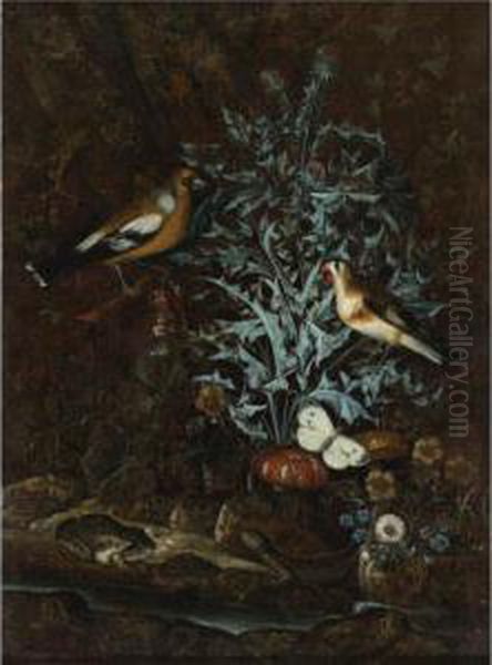 Song Birds, Butterflies, Thistles, Flowers, And Reptiles By Astream Oil Painting by Mathias Withoos