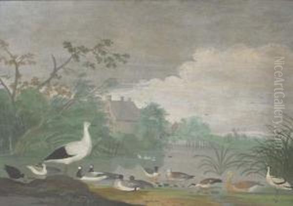 Geese, Ducks And Other Birds On A Pond With Houses In Thedistance Oil Painting by Pieter Withoos