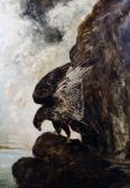 An Eagle In A Rocky Landscape Oil Painting by Joseph Wolf