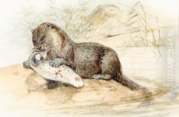 An Otter With A Salmon Oil Painting by Joseph Wolf