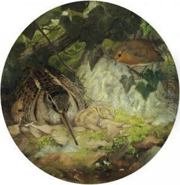 A Woodcock With Its Young And A Robin Oil Painting by Joseph Wolf