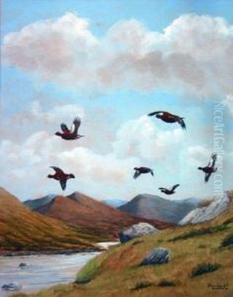 Partridge In Flight Oil Painting by David Knightley Wolfe-Murray