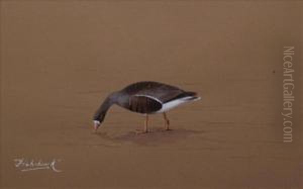 White Fronted Goose 'fish Hawke' Oil Painting by David Knightley Wolfe-Murray