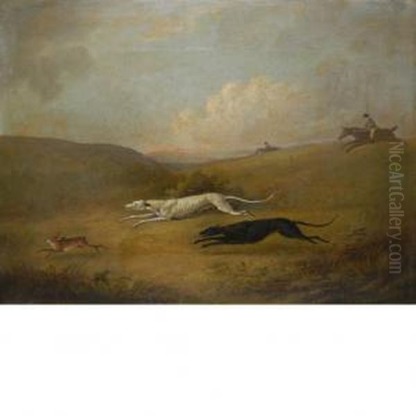 Robert Poole's Greyhounds Pigeon And Polecat Chasing A Hare Oil Painting by Dean Wolstenholme, Snr.