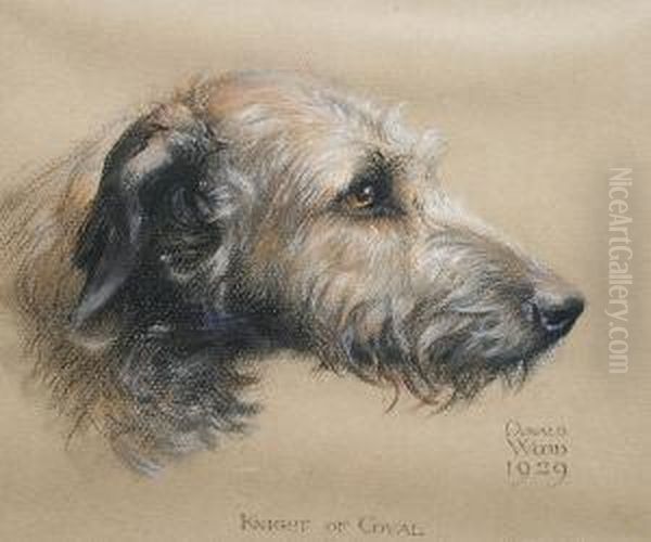 'knight Of Coval' The Irish Wolf Hound by Donald Wood