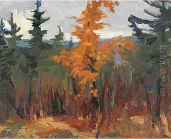 Brown Tree Oil Painting by John Wood