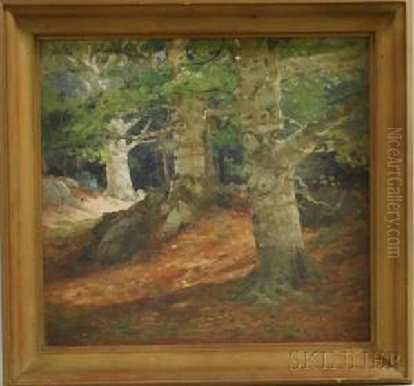 Sundappled Landscape With Three Large Trees. Oil Painting by Ogden Wood