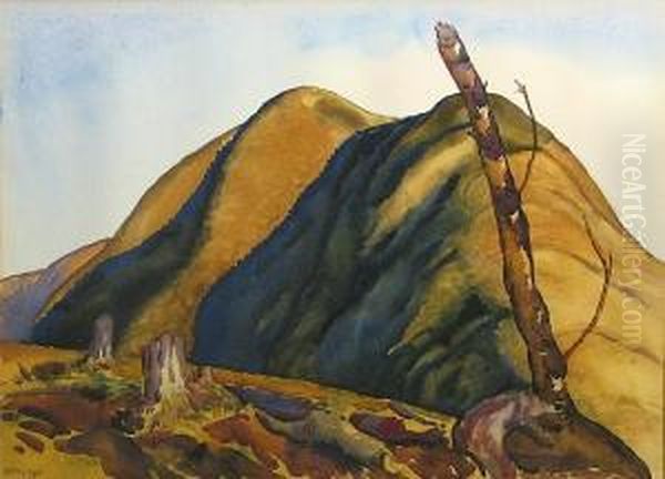 Shadowed Hills Oil Painting by Stanley Huber Wood