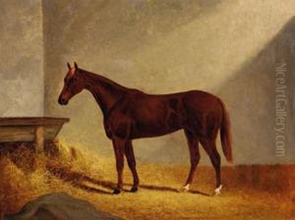 Horse In A Stable Oil Painting by Frederick, Woodhouse Jr.