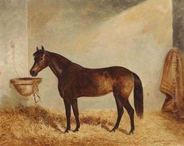 Mare In A Stable Oil Painting by Frederick, Woodhouse Snr.