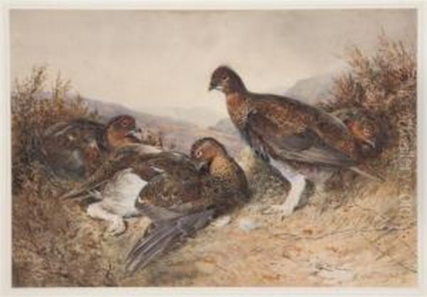 English Grouse Oil Painting by William Arnold Woodhouse