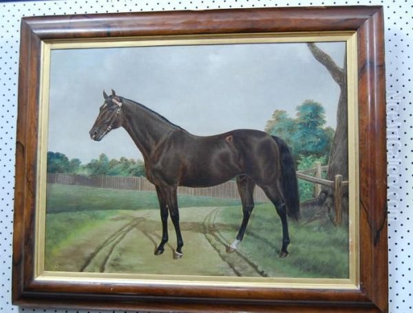 Portrait Of A Horse Oil Painting by Thomas Woodward