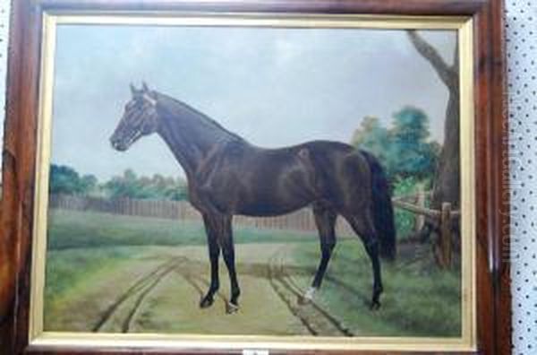 Portrait Of A Horse Oil Painting by Thomas Woodward