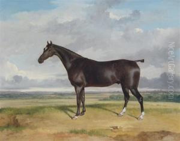 A Hunter In An Extensive Landscape Oil Painting by Thomas Woodward