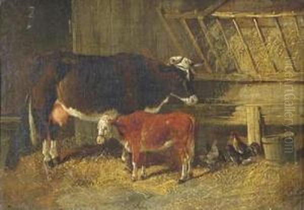 A Cow And Calf In A Barn Oil Painting by Henry Woollett