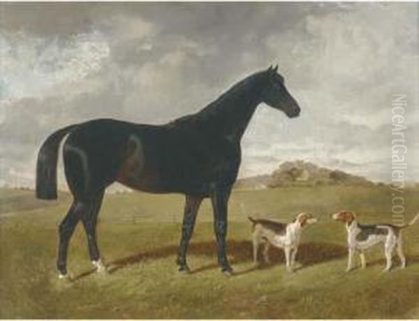 A Dark Brown Hunter With Two Hounds In A Landscape, With Brindlechurch, Lancashire, Beyond Oil Painting by Henry Woollett