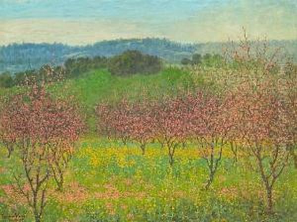 Peach Blossoms, Saratoga, California by Theodore Wores