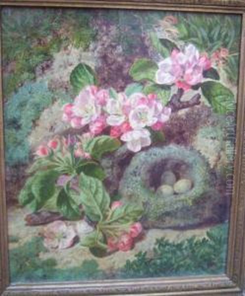 Still Life Of Apple Blossom And Birds Nest Oil Painting by Thomas Worsey