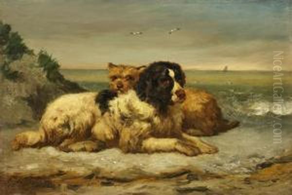 Zwei Hunde Amstrand Oil Painting by Edouard Woutermaertens