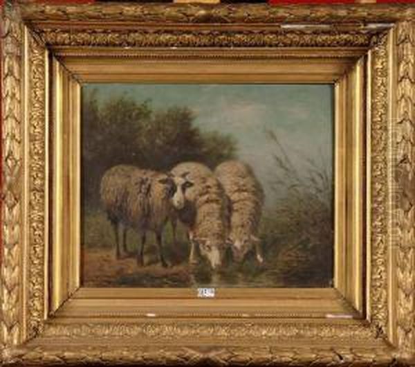 Moutons A La Piece D'eau Oil Painting by Edouard Woutermaertens