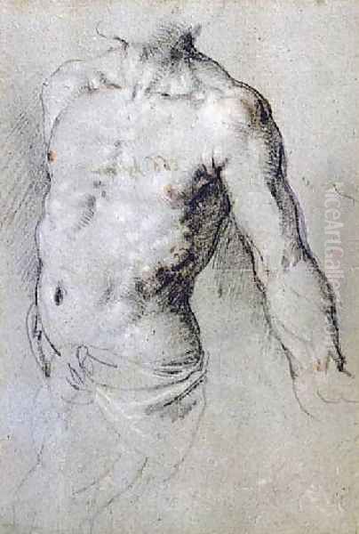 Study of a Male Torso Oil Painting by Paris Bordone