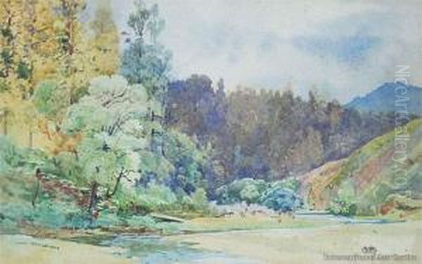 Te Whaiti Near Rotorua Oil Painting by Frank Wright