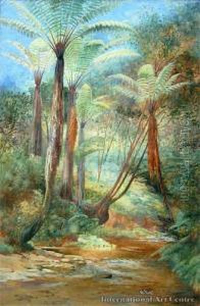 Stream & Ponga Oil Painting by Frank Wright