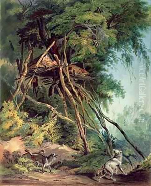 Tombs of Assiniboin Indians on Trees, plate 30 from volume 2 of `Travels in the Interior of North America, 1832-34' Oil Painting by Karl Bodmer