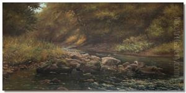 River Scene Amongst Woodland With An Otter Oil Painting by James Wright