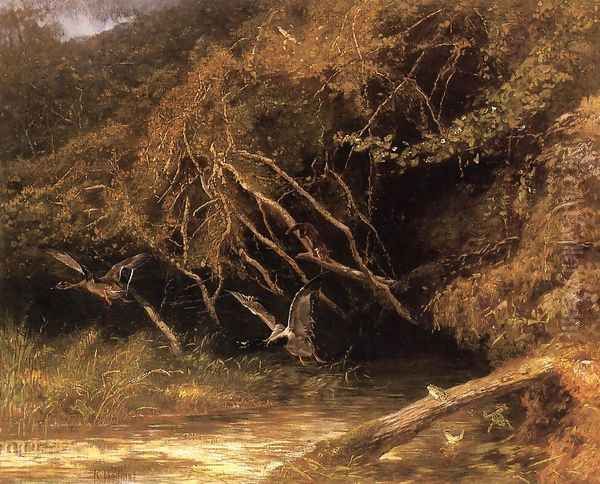 Forest with Ducks and Frogs Oil Painting by Karl Bodmer