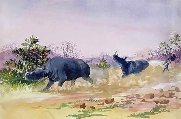 John Sawing's narrow escape from being run down by a couple of rhinoceros, north of the Makabie River, 1862 Oil Painting by Thomas Baines