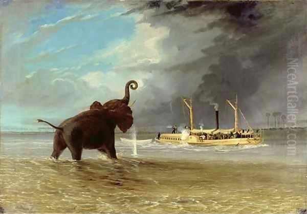 The 'Ma Roberts' and an Elephant in the Shallows, Lower Zambezi 1859 Oil Painting by Thomas Baines