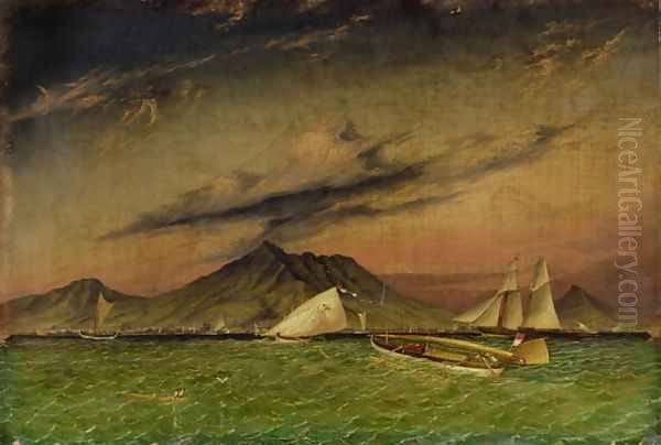 The Tom Tough hove to for a pilot to Surabaya off Passoeroean on the Java Coast Oil Painting by Thomas Baines