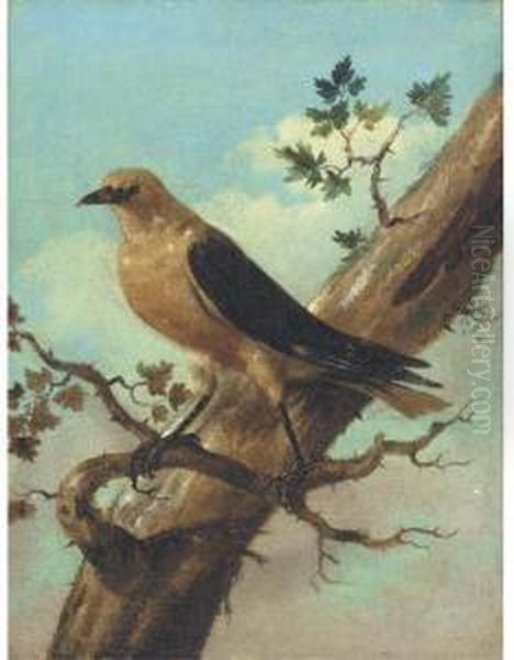 Bird On A Branch Oil Painting by Joham Matthias Wourzer