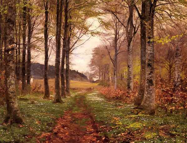 A Woodland Landscape Oil Painting by Hans Anderson Brendekilde