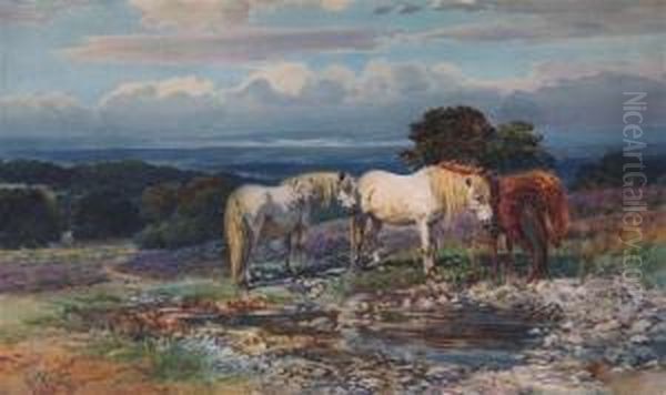 Ponies In The New Forest Oil Painting by Augustus Charles Wyatt