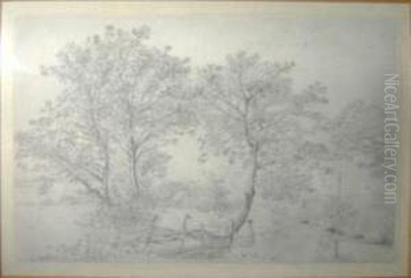 Study Of Trees And Cottage Beyond Oil Painting by Henry Wyatt