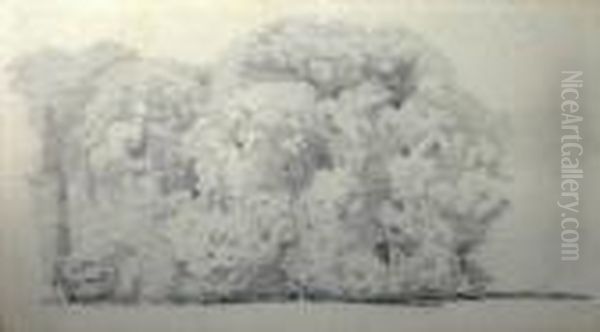 'studyof Trees', Pencil, 6.5cm X 12cm, Framed Oil Painting by Henry Wyatt