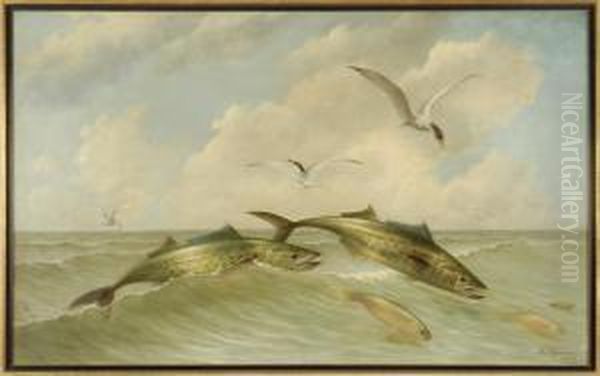 Seascape With Spanish Mackerel And Sea Gulls Oil Painting by Arnoud Wydeveld