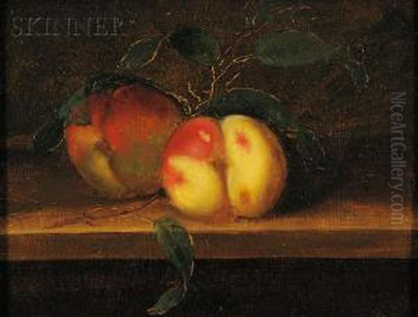 Two Peaches Oil Painting by Arnoud Wydeveld