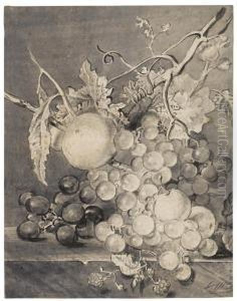 Still Life Of Grapes And Other Fruit On A Ledge Oil Painting by Oswald Wynen