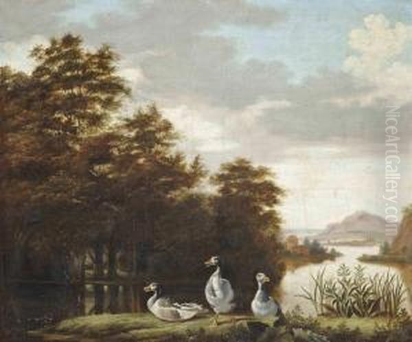 A Wooded River Landscape With Greylag Geese On A Bank Oil Painting by Dirck Wyntrack