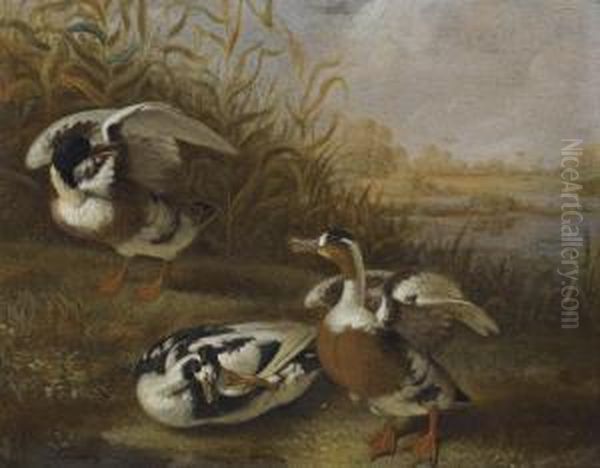 A Shelduck In A Landscape Oil Painting by Dirck Wyntrack