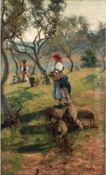 In The Olive Grove Oil Painting by Jose Maria Xiro Y Taltabull