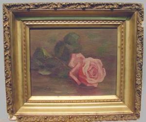 Pink Rose Oil Painting by Lilla Yale