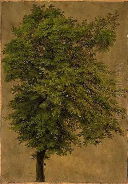 Young Oak Tree Oil Painting by Karl Blechen