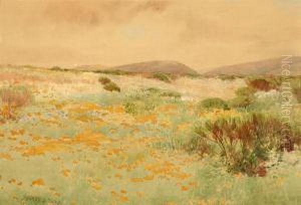 California Landscape With Poppies And Lupine Oil Painting by Sydney Jones Yard