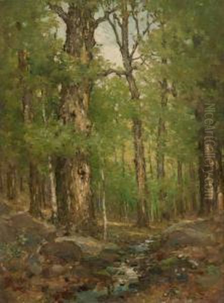 Forest Interior Oil Painting by Cullen Yates